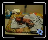 Geboren * 1 x 1 * (1.1MB)