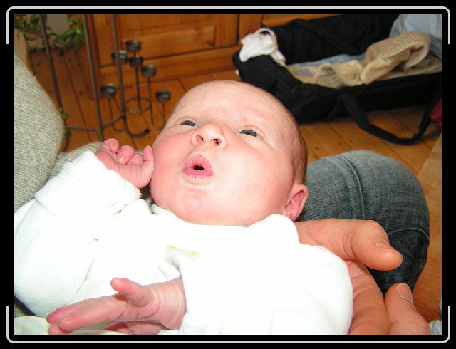 Nächstes Bild