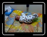 26022007324 * 2048 x 1536 * (636KB)