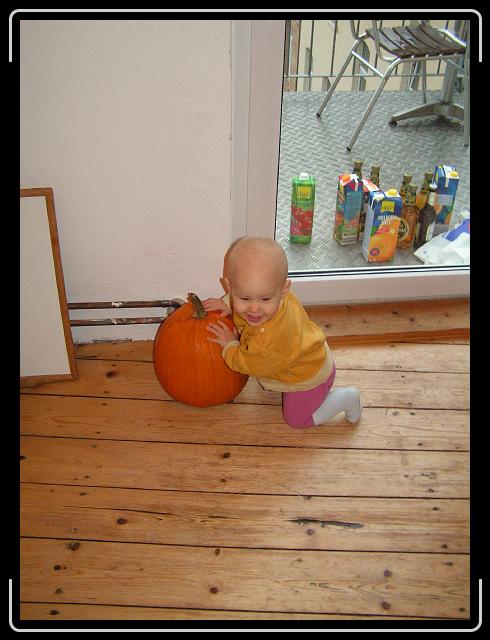 Nächstes Bild