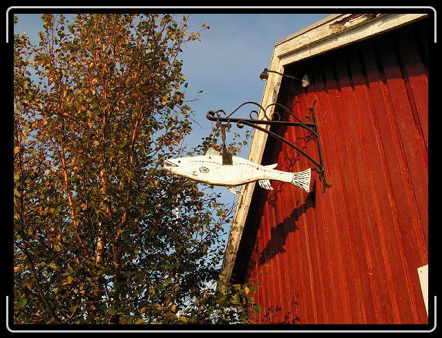 Nächstes Bild